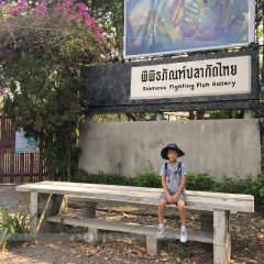 พักเหนื่อยที่นี่ ปิดวันธรรมดา
