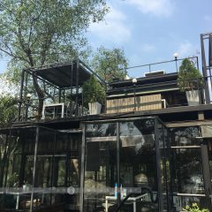 ห้องอาหาร Bangkok Tree House