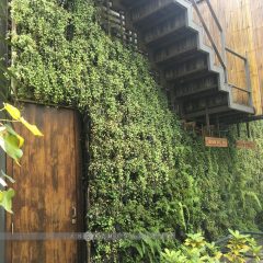 Bangkok Tree House