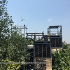 Bangkok Tree House