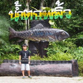 Green Chantaburi::Family