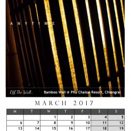 AnYtime Calendar 2017::Off The Wall… Stand Tall