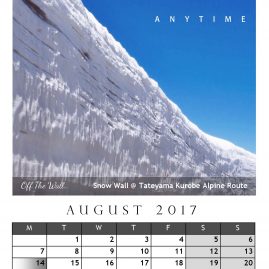 AnYtime Calendar 2017::Off The Wall… Stand Tall