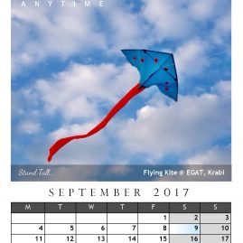 AnYtime Calendar 2017::Off The Wall… Stand Tall