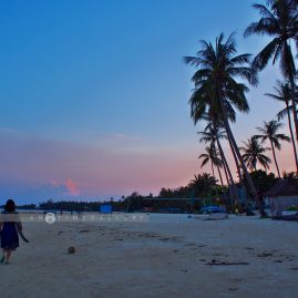 X2 (Cross To) Samui::Family