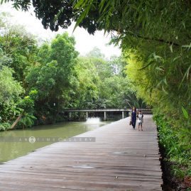A Day in Nakhon Pathom::Family