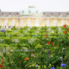 Sanssouci Palace Potsdam::Resort
