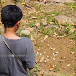 Kaeng Krachan National Park::Family