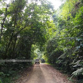 Kaeng Krachan National Park::Resort