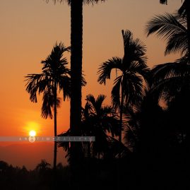 Baan Rai I Arun::Resort