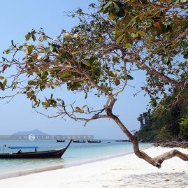 Laem Son National Park::Resort