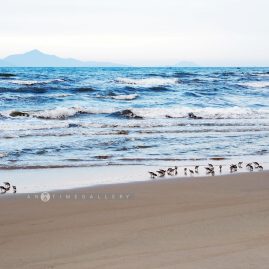 Centara Sandy Beach Resort Danang::Resort