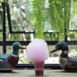Cafés Khao Yai::Resort