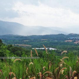 Sala Khao Yai::Resort