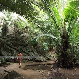 Uthai Nature Trip::Family