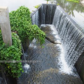 Uthai Nature Trip::Resort
