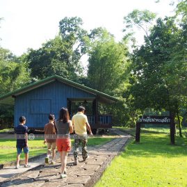 Huai Kha Khaeng::Family