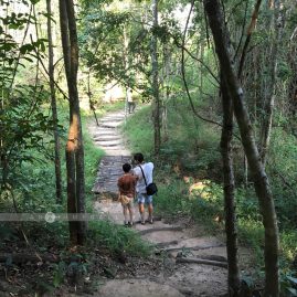 Huai Kha Khaeng::Family