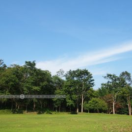 Huai Kha Khaeng::Resort
