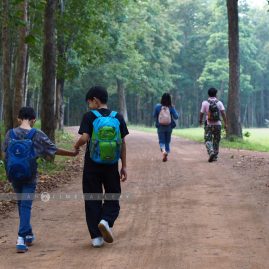 Into the Forest::Family