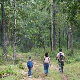 Into the Forest::Family