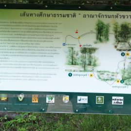 Into the Forest::Resort