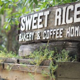 Sweet Rice::Resort