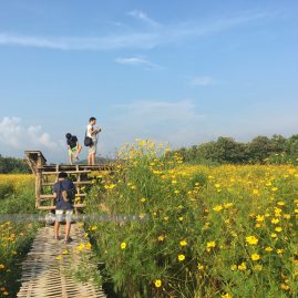 Baan Na Ton Chan::Family