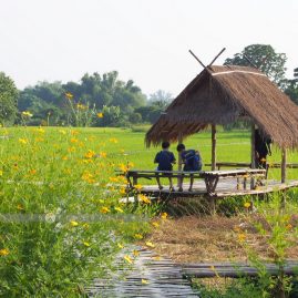 Baan Na Ton Chan::Family