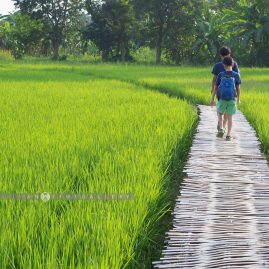 Baan Na Ton Chan::Family