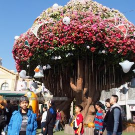 Everland::Family