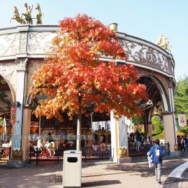 Everland::Resort