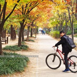 Seoul Forest Park::Family