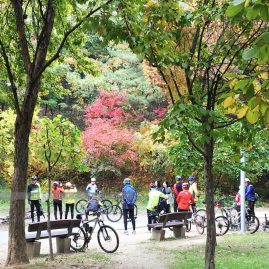 Seoul Forest Park::Resort