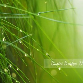 AnYtime Calendar 2019::Shades of Life