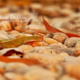 AnYtime Calendar 2019::Shades of Life