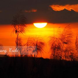 AnYtime Calendar 2019::Shades of Life