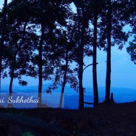 AnYtime Calendar 2019::Shades of Life