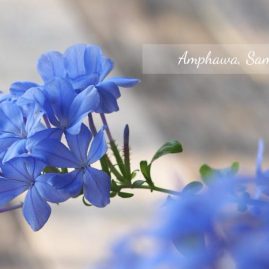 AnYtime Calendar 2019::Shades of Life