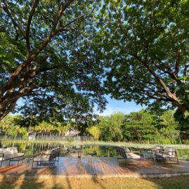 Pattara::Resort