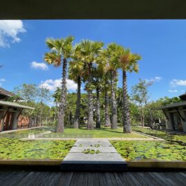 Pattara::Resort