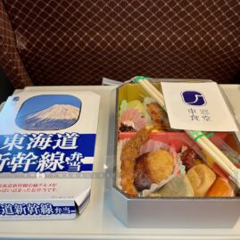 Backing In Japan::Resort