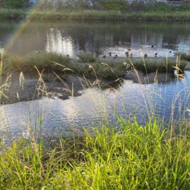 Kyoto In Love::Resort