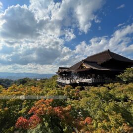 Kyoto In Love::Resort