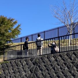 Mishima Skywalk::Family