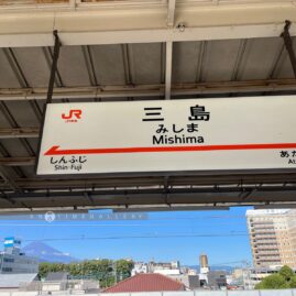 Mishima Skywalk::Resort