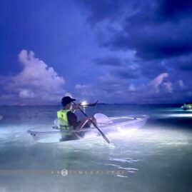 Kayak Kajai::Family
