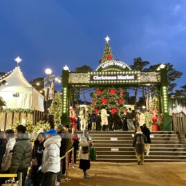 Lotte World Christmas Market::Resort