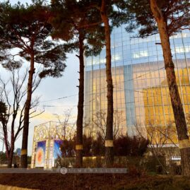 Lotte World Christmas Market::Resort