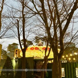 Lotte World Christmas Market::Resort